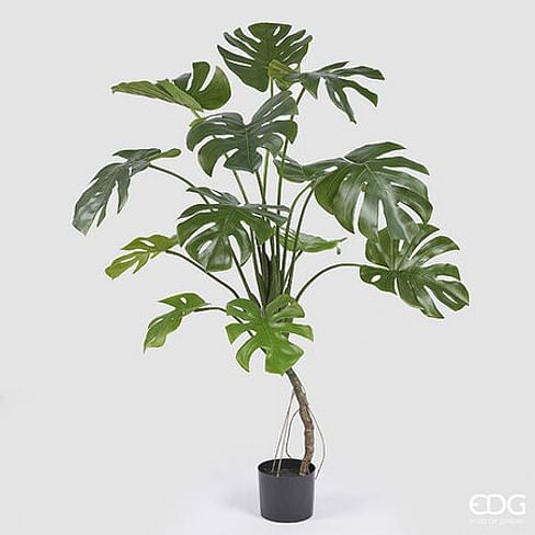 Монстера EDG Enzo De Gasperi Арт.2300258A700