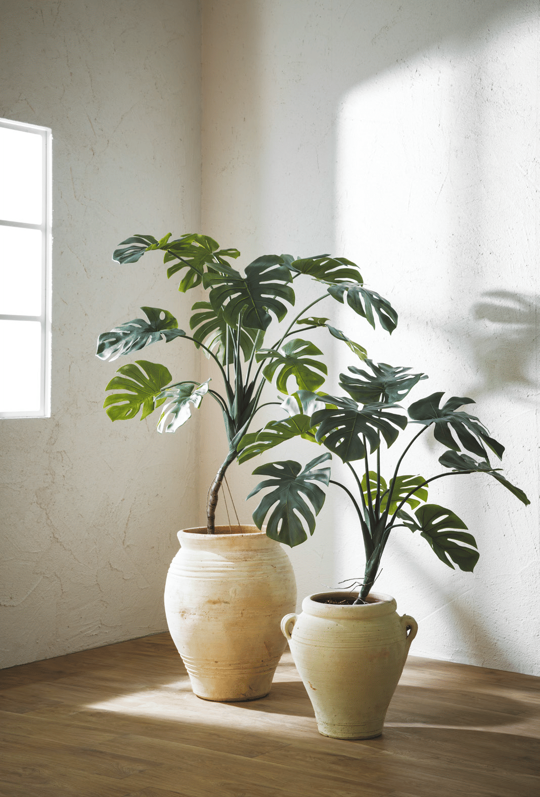 Монстера EDG Enzo De Gasperi Арт.2300258A700