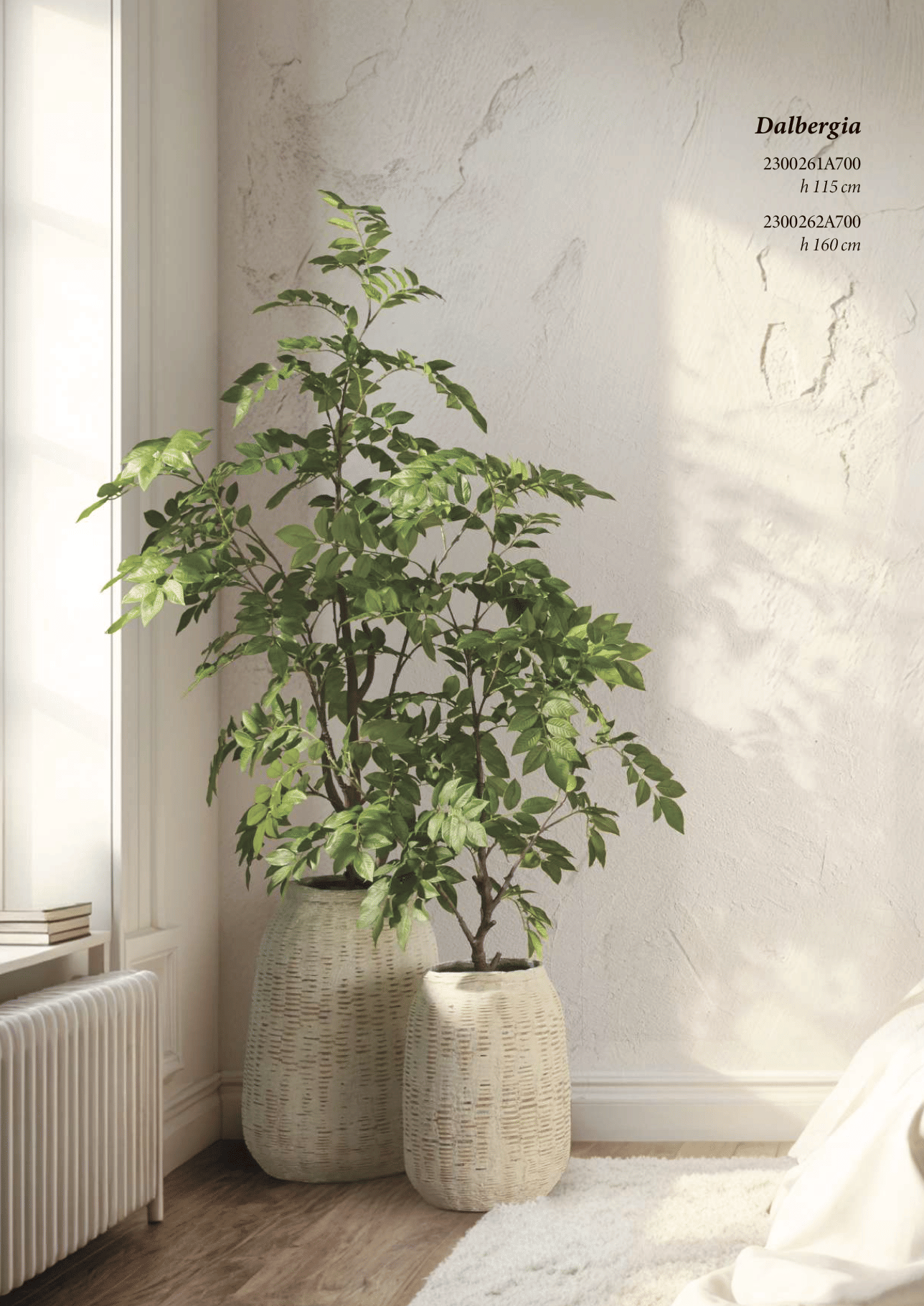 Дальбергия EDG Enzo De Gasperi Арт.2300262A700