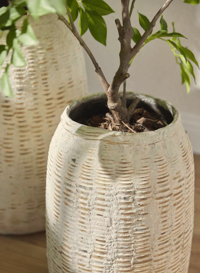 Дальбергия EDG Enzo De Gasperi Арт.2300262A700