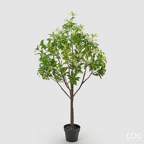 Калина EDG Enzo De Gasperi Арт.2300263A170