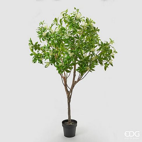Калина EDG Enzo De Gasperi Арт.2300264A170