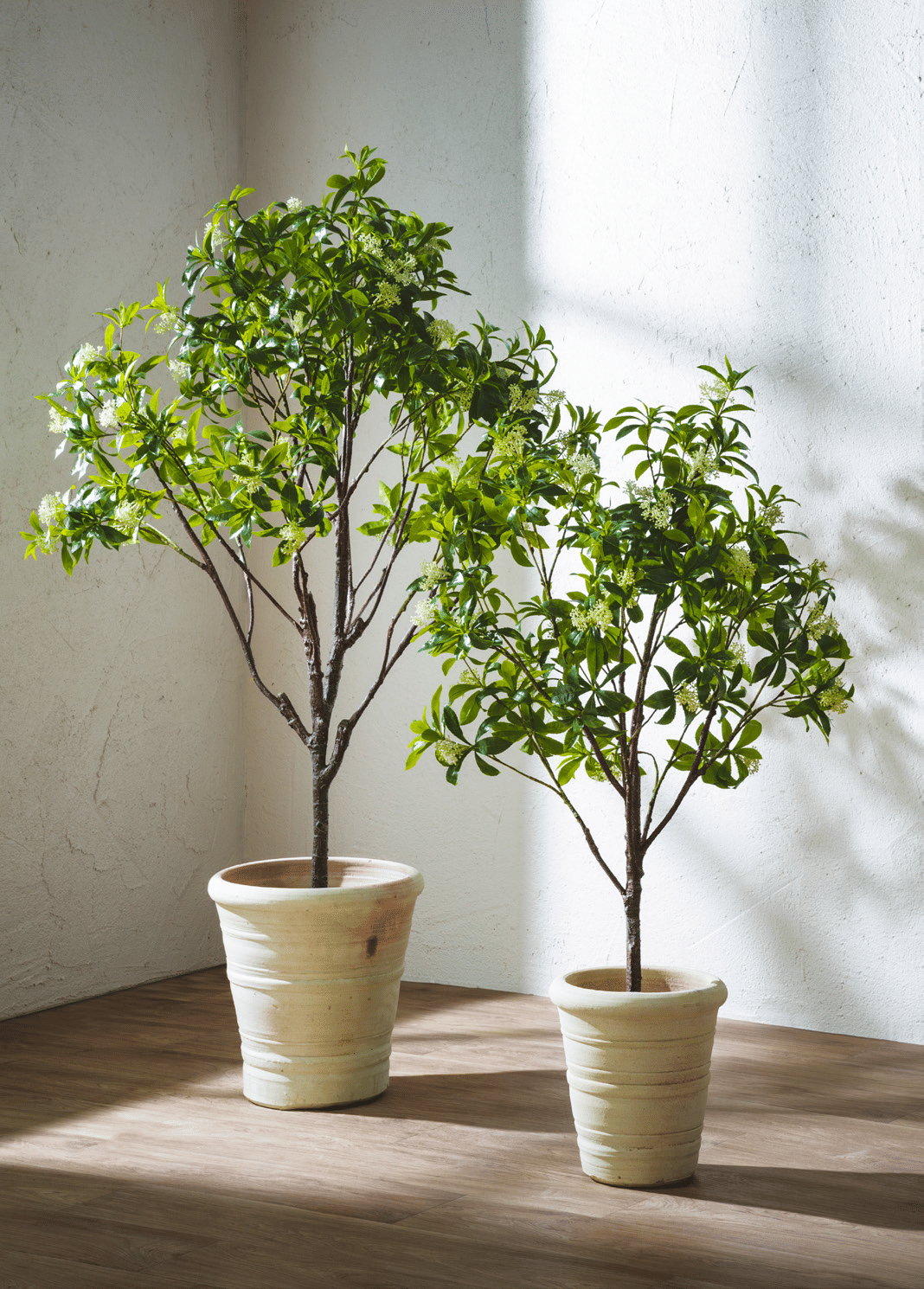 Вибурнум EDG Enzo De Gasperi Арт.2300264A170