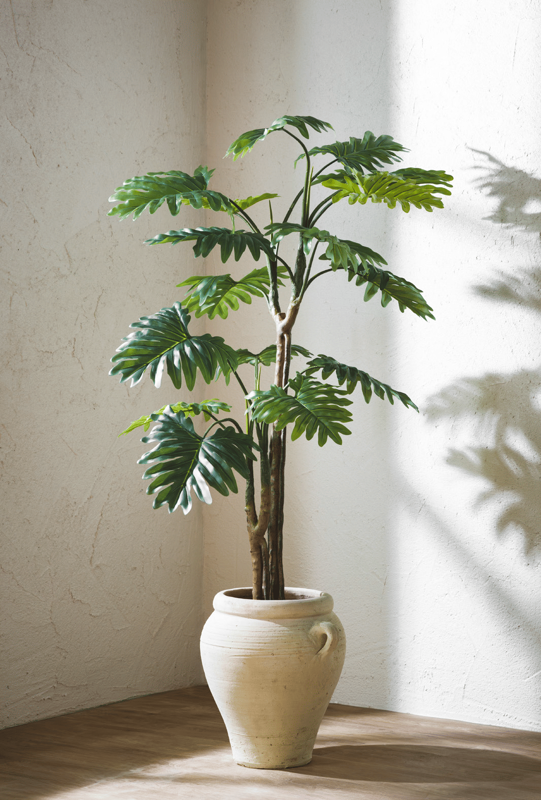 Филодендрон EDG Enzo De Gasperi Арт.2300284A700