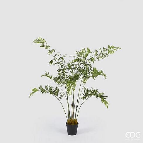 Щитовник EDG Enzo De Gasperi Арт.2300304A700