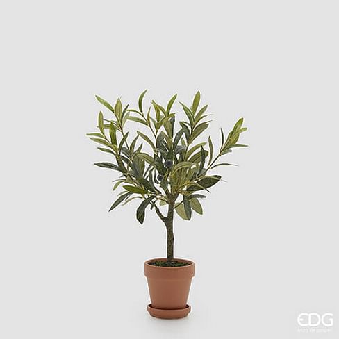 Оливковое дерево EDG Enzo De Gasperi Арт.2300323A700