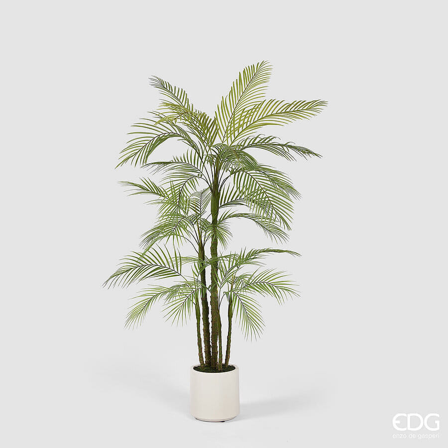 Пальма Арека EDG Enzo De Gasperi Арт.2300365A700