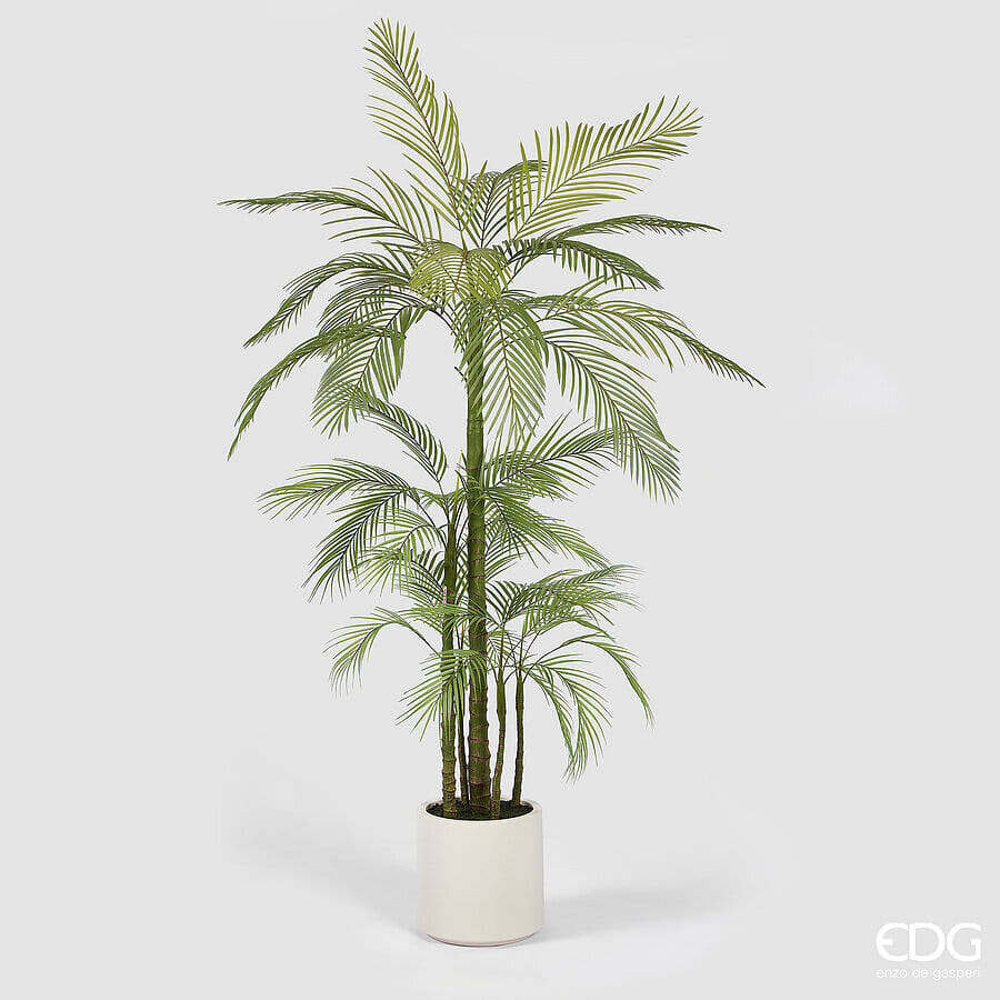 Пальма Арека EDG Enzo De Gasperi Арт.2300366A700