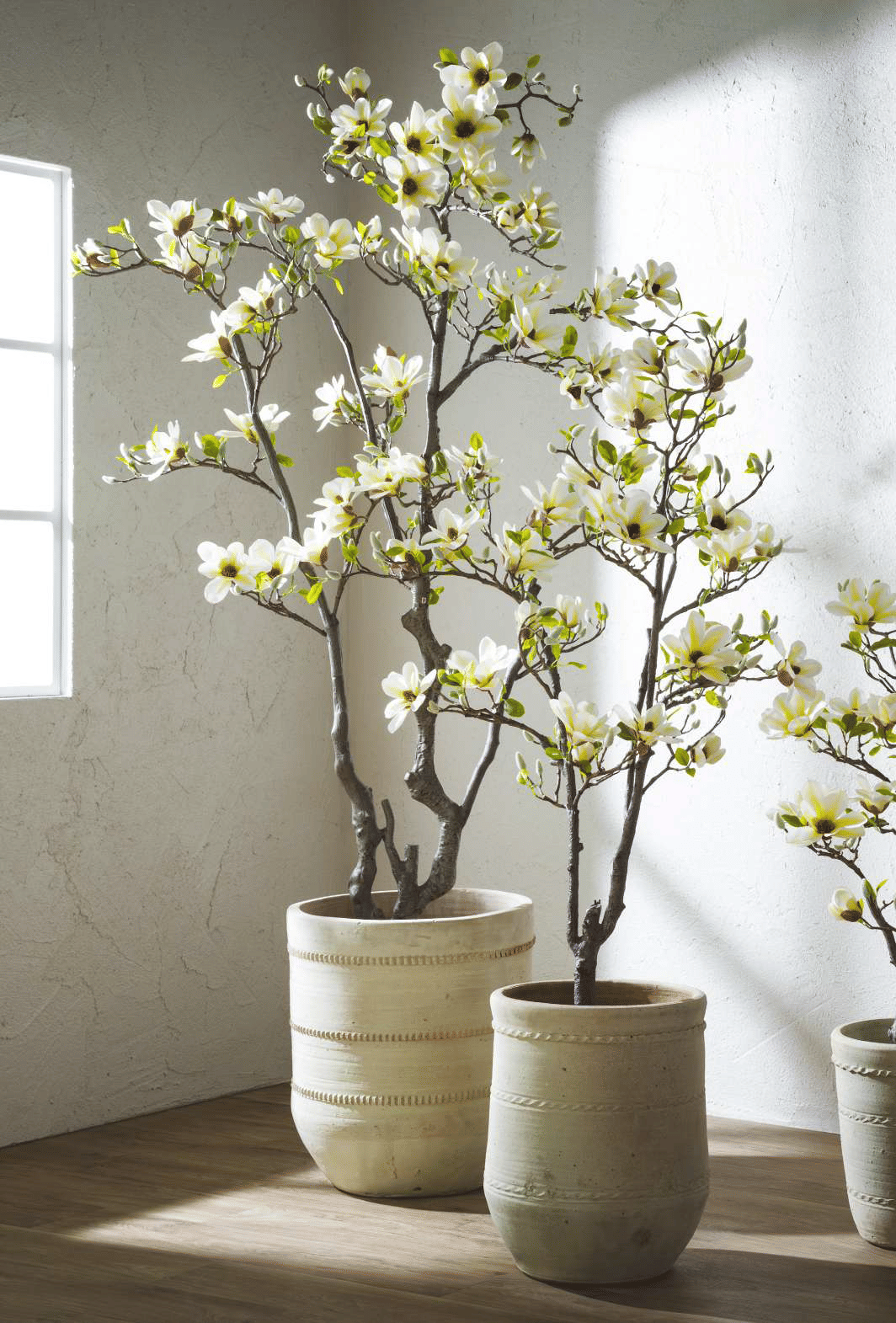 Магнолия EDG Enzo De Gasperi Арт.2100422A221