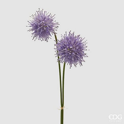 Сивец EDG Enzo De Gasperi Арт.2100269A700