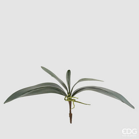 Листья орхидеи EDG Enzo De Gasperi Арт.231122,700