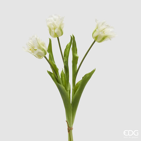 Тюльпаны букет EDG Enzo De Gasperi Арт.2100271A170