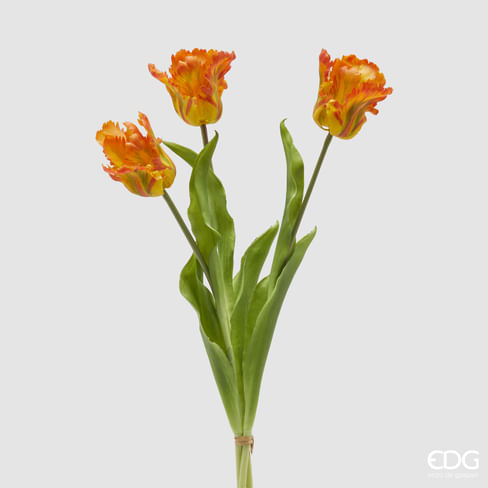 Тюльпаны букет EDG Enzo De Gasperi Арт.2100271A230