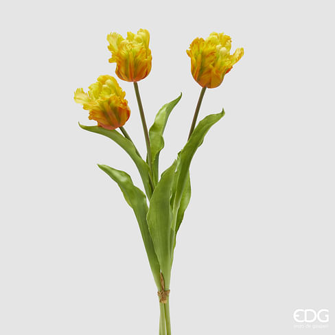 Тюльпаны букет EDG Enzo De Gasperi Арт.2100271A270