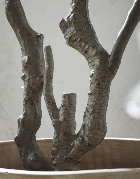 Магнолия EDG Enzo De Gasperi Арт.2100421A221