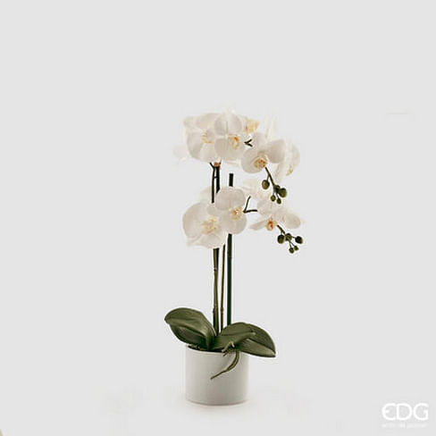 Орхидея в горшке EDG Enzo De Gasperi Арт.214267,MD1
