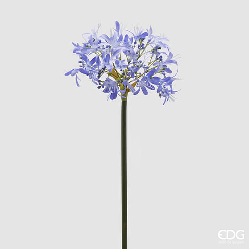 Агапантус EDG Enzo De Gasperi Арт.2100083A665