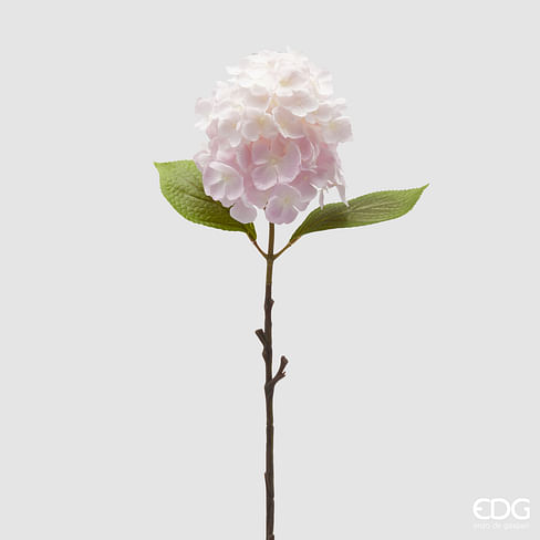 Гортензия EDG Enzo De Gasperi Арт.2100268A500