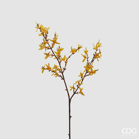 Форсайтия EDG Enzo De Gasperi Арт.215187,200