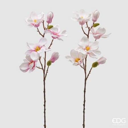 Магнолия EDG Enzo De Gasperi Арт.215914,500