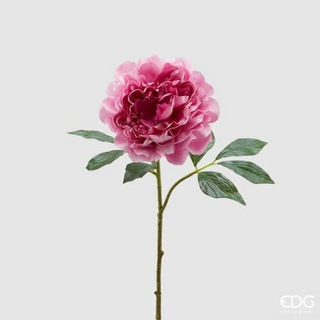 Пион EDG Enzo De Gasperi Арт.215943,620