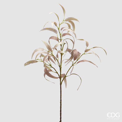 Эвкалипт EDG Enzo De Gasperi Арт.2300107A977