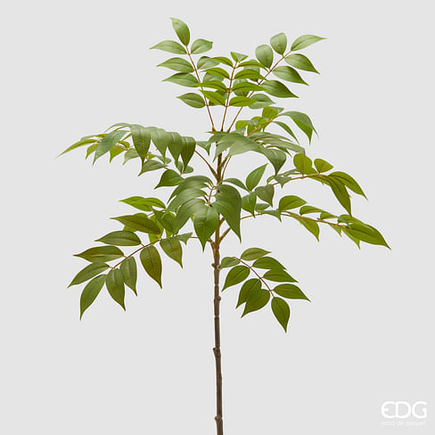 Плиния EDG Enzo De Gasperi Арт.2300230A700