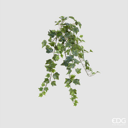 Плющ EDG Enzo De Gasperi Арт.232046,700