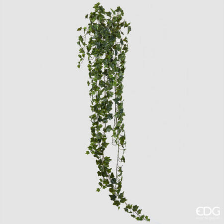 Плющ EDG Enzo De Gasperi Арт.232055,700