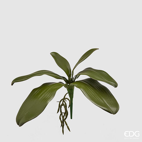 Листья орхидеи EDG Enzo De Gasperi Арт.232337,700