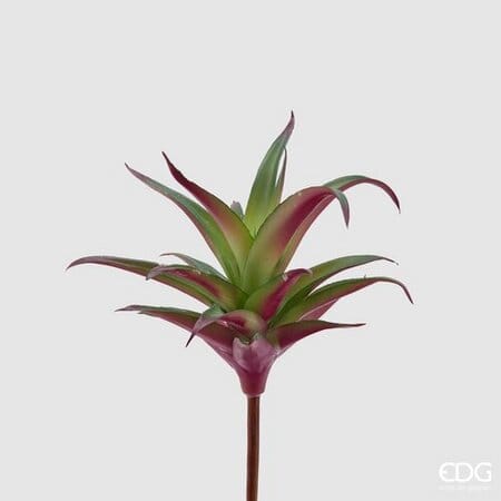 Агава EDG Enzo De Gasperi Арт.232806,750