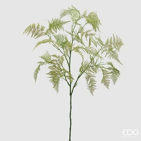 Аспарагус EDG Enzo De Gasperi Арт.232917,700