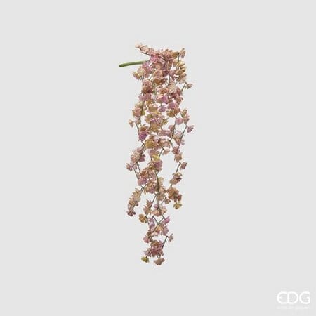 Эхеверия EDG Enzo De Gasperi Арт.232986,750