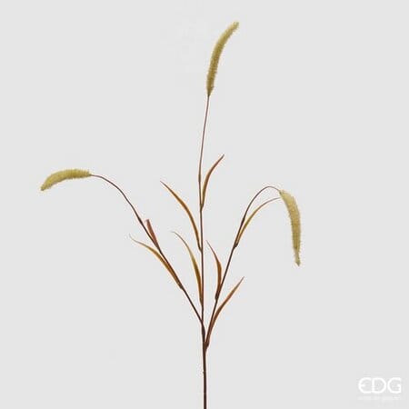 Сетария EDG Enzo De Gasperi Арт.233029,790