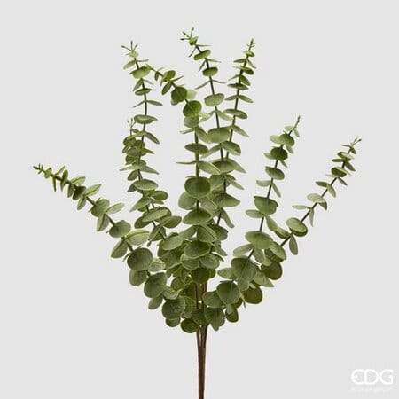 Эвкалипт EDG Enzo De Gasperi Арт.233034,700