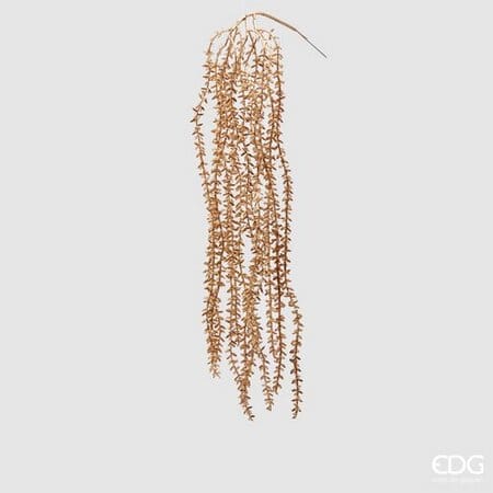 Суккуленты EDG Enzo De Gasperi Арт.233044,010