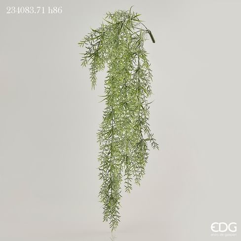 Аспарагус EDG Enzo De Gasperi Арт.234083,710