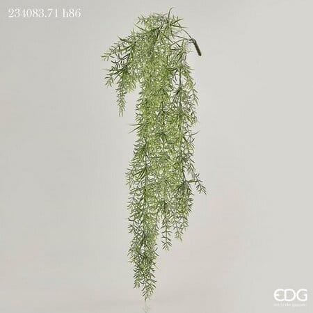 Аспарагус EDG Enzo De Gasperi Арт.234083,710