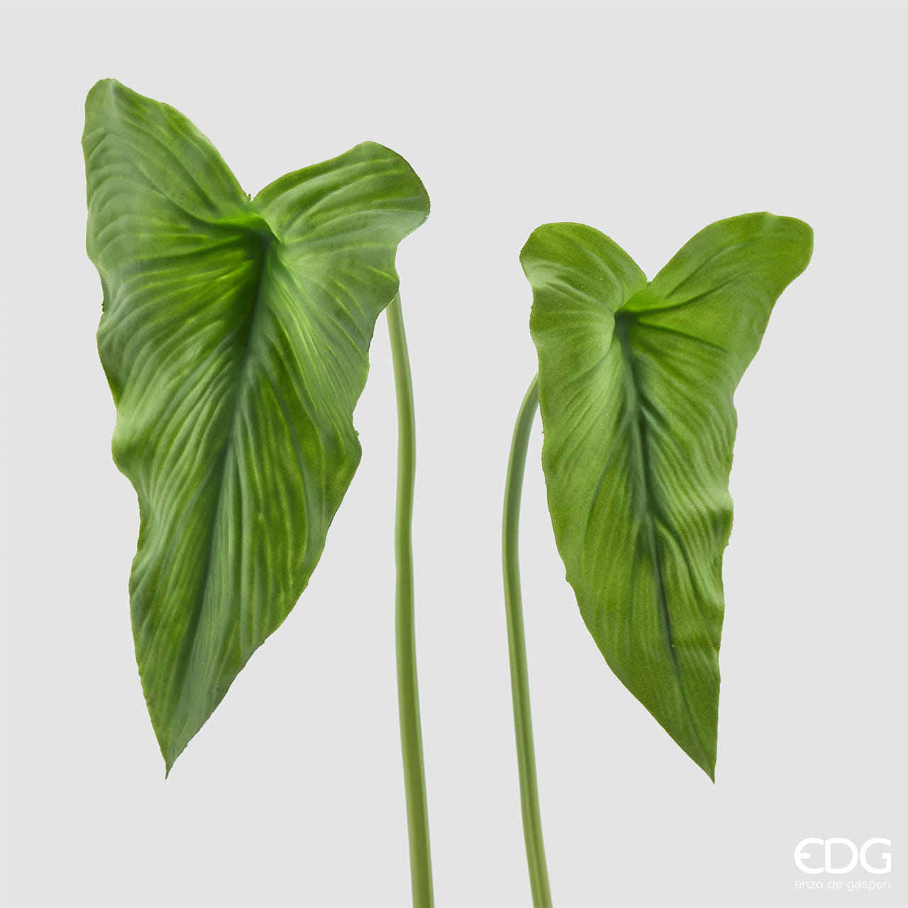 Листья каллы EDG Enzo De Gasperi Арт.236065,700
