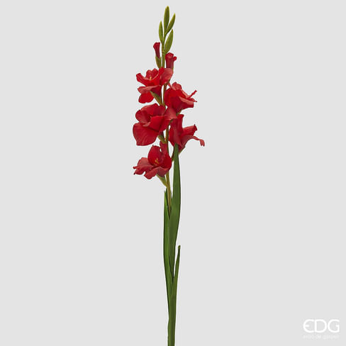 Гладиолус EDG Enzo De Gasperi Арт.2100529A400