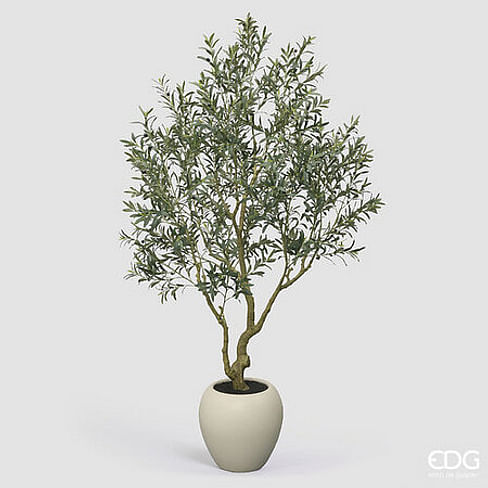 Оливковое дерево EDG Enzo De Gasperi Арт.2300446A700