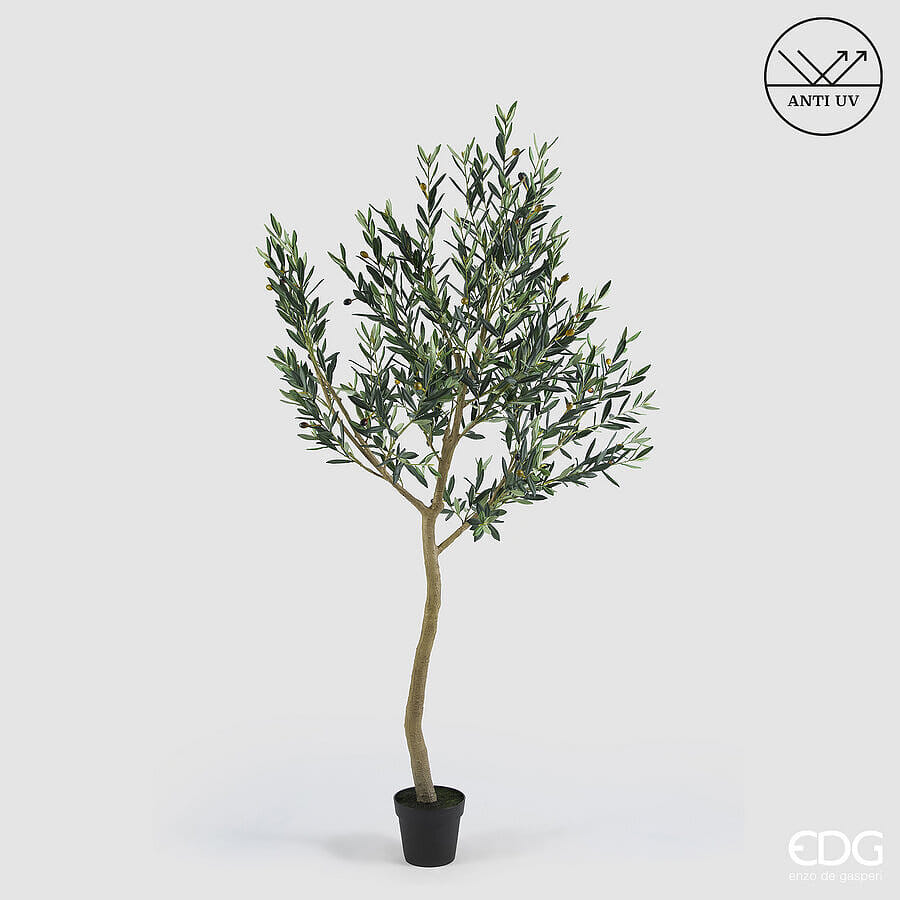 Оливковое дерево EDG Enzo De Gasperi Арт.2300454A700
