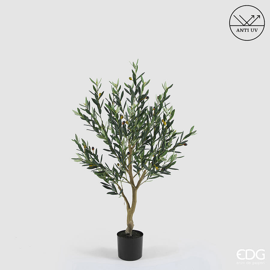 Оливковое дерево EDG Enzo De Gasperi Арт.2300456A700