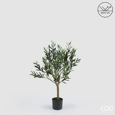 Оливковое дерево EDG Enzo De Gasperi Арт.2300457A700