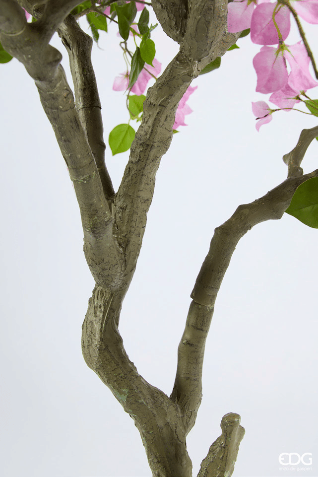 Бугенвиллия EDG Enzo De Gasperi Арт.2100590A663