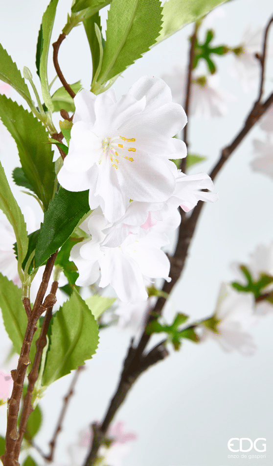 Яблоня EDG Enzo De Gasperi Арт.2100643A150