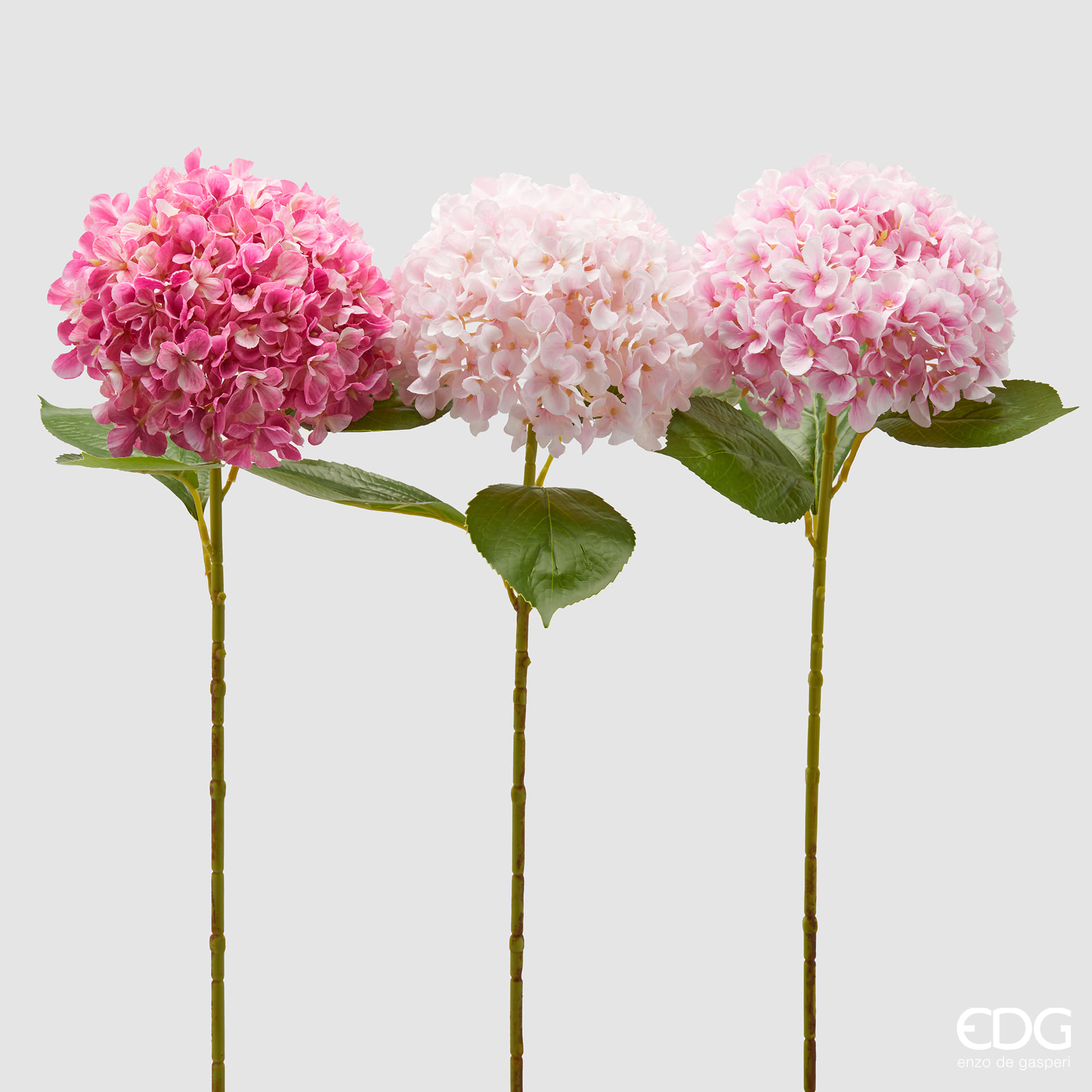 Гортензия EDG Enzo De Gasperi Арт.2100441A500