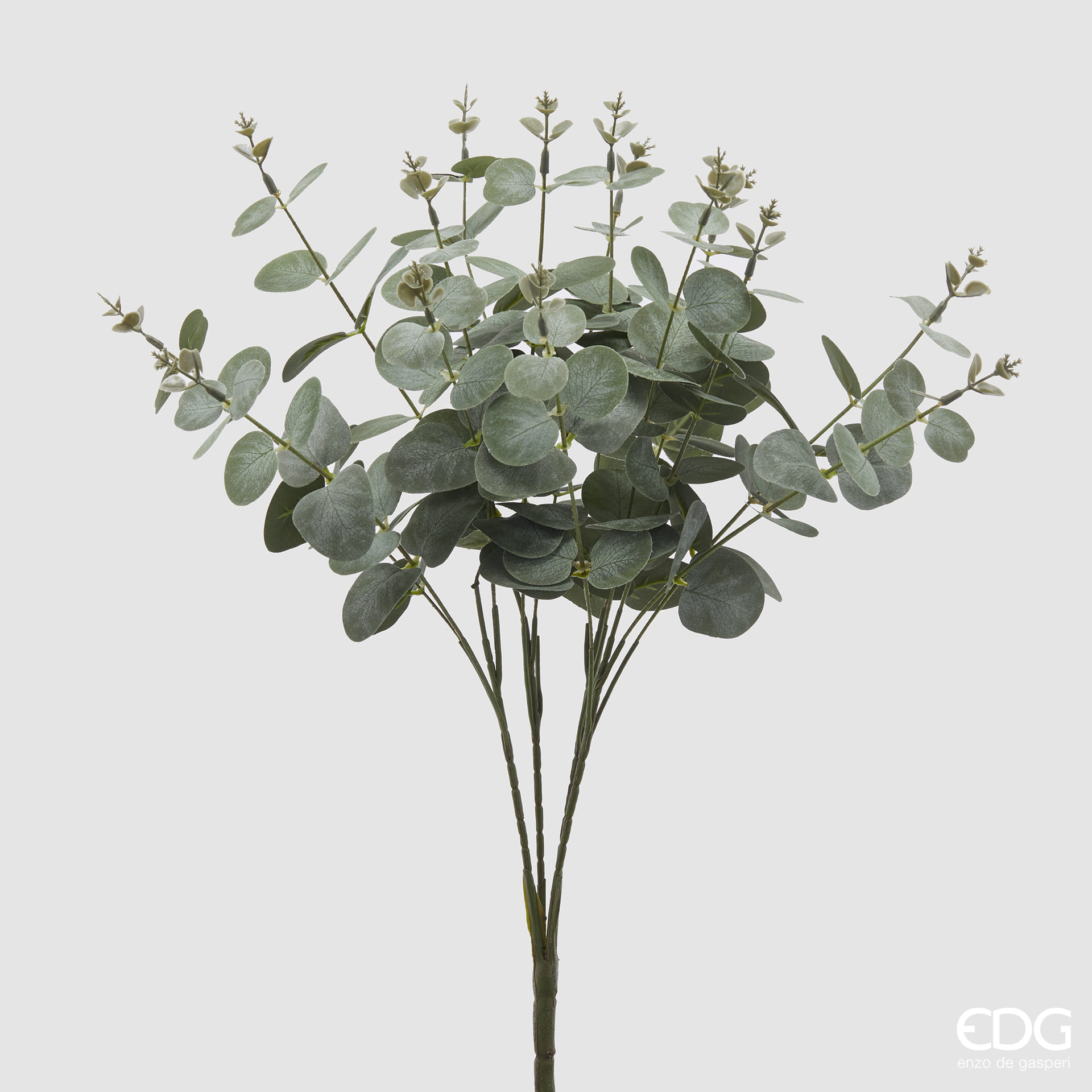 Эвкалипт EDG Enzo De Gasperi Арт.2300044A772