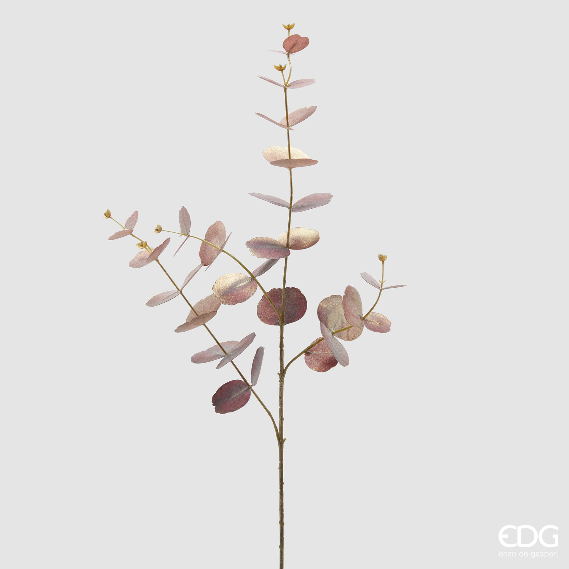 Эвкалипт EDG Enzo De Gasperi Арт.2300110A449