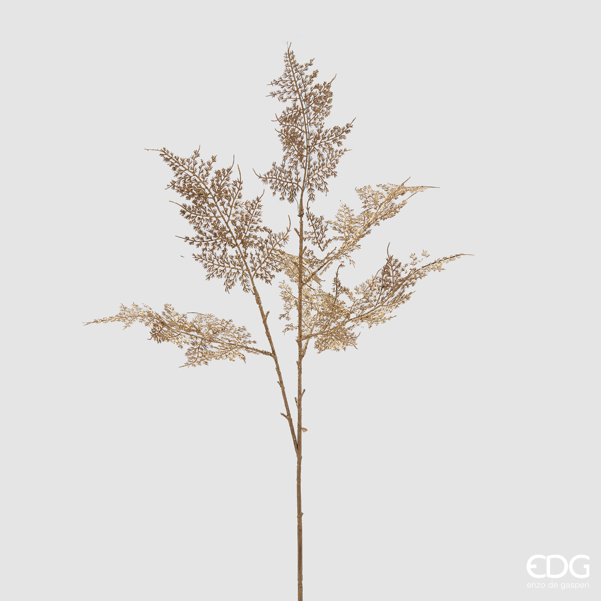 Аспарагус EDG Enzo De Gasperi Арт.2300113A010